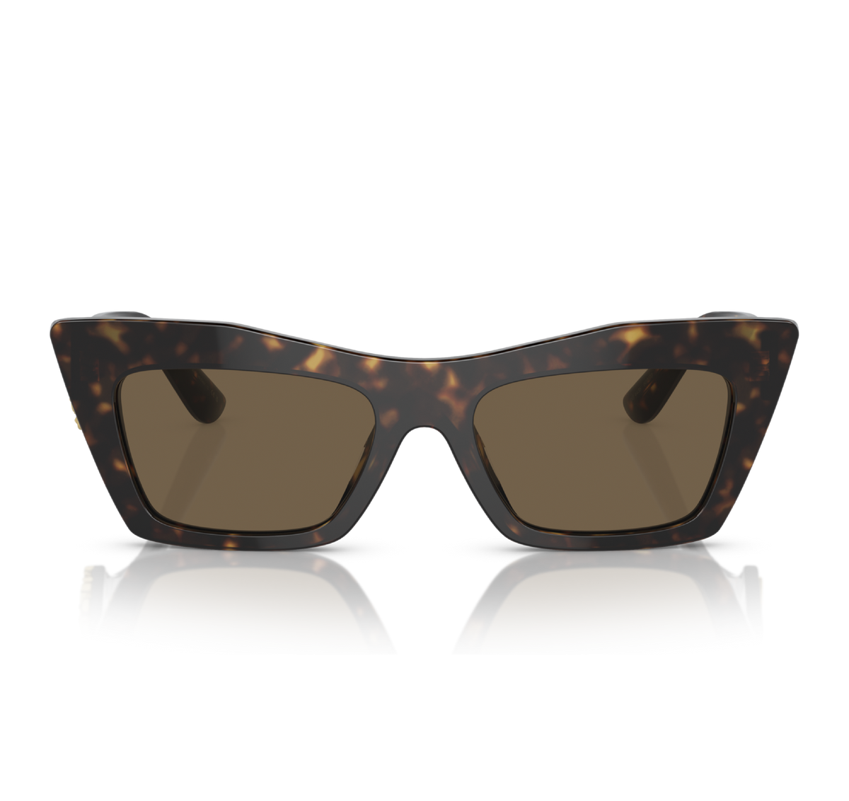 Gafas Acetato Havana Oscura