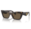 Gafas Acetato Havana Oscura