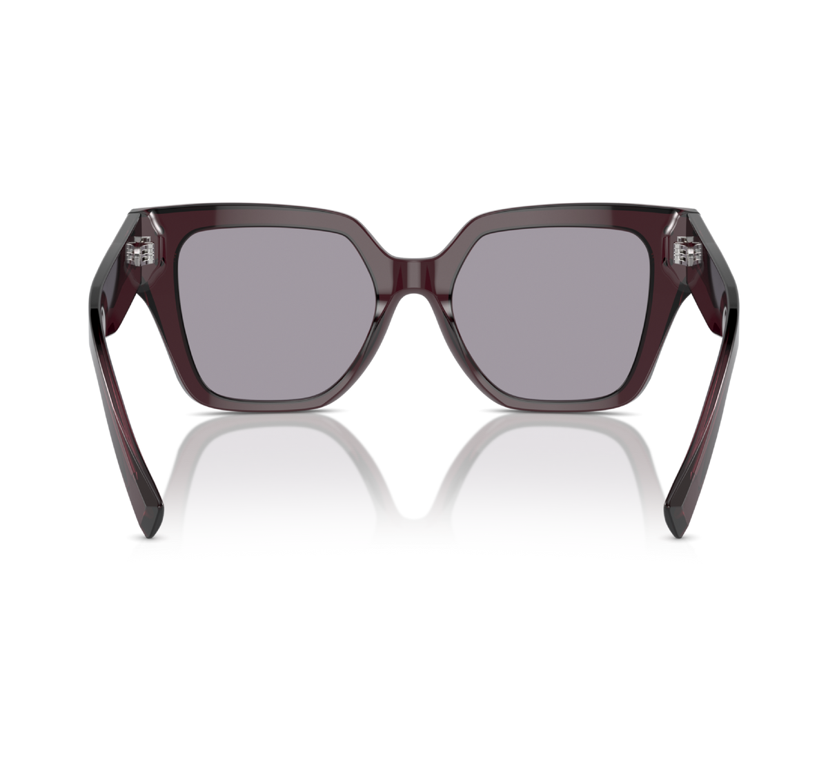 Gafas Acetato Violeta Transparente