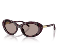 Gafas Acetato Havana Púrpura