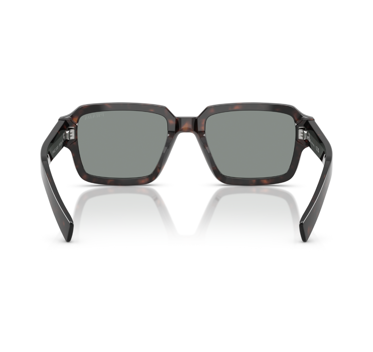 Gafas Acetato Root Tortoise