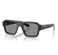 Gafas Acetato Root Tortoise