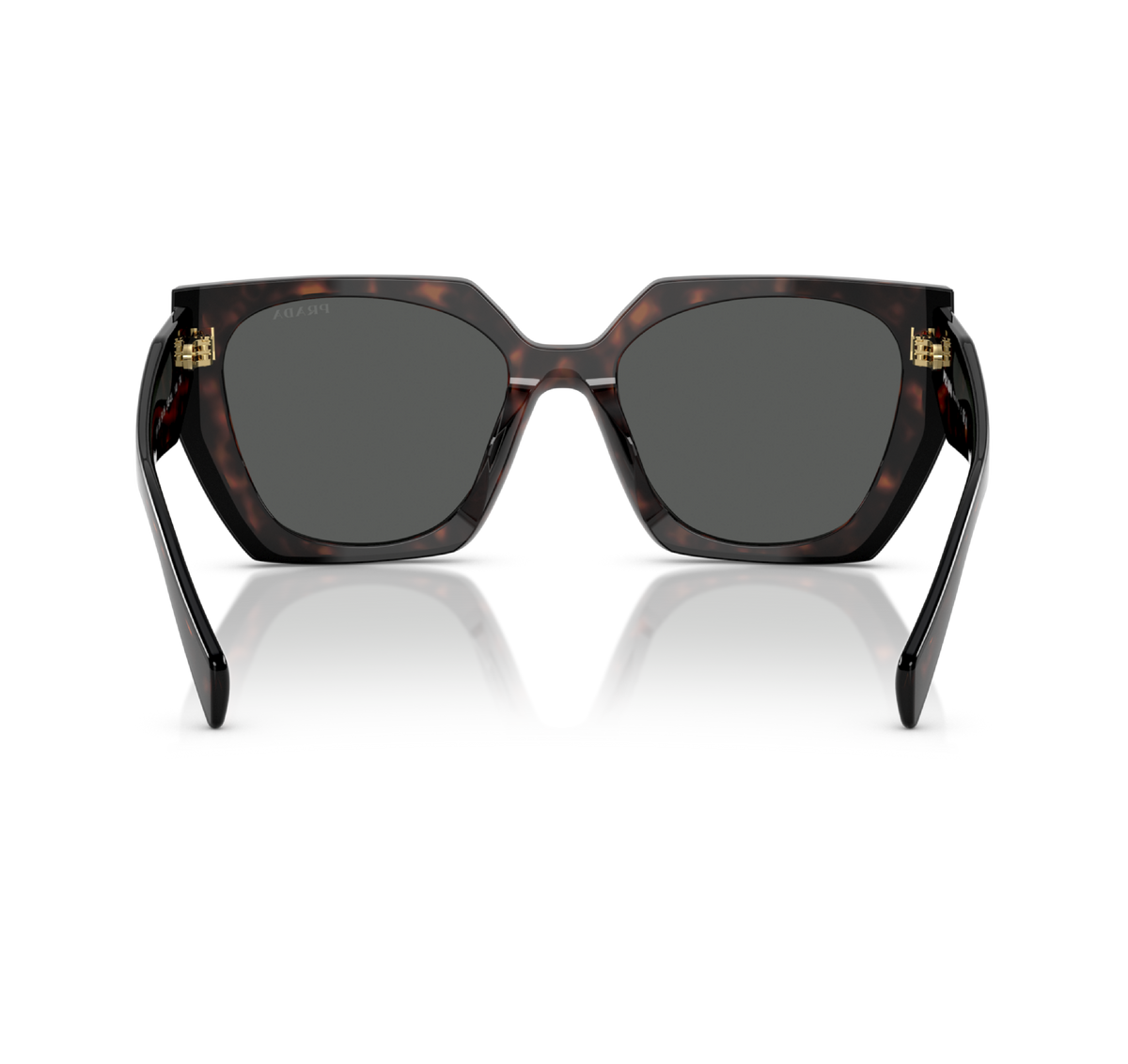 Gafas Acetato Root/Black
