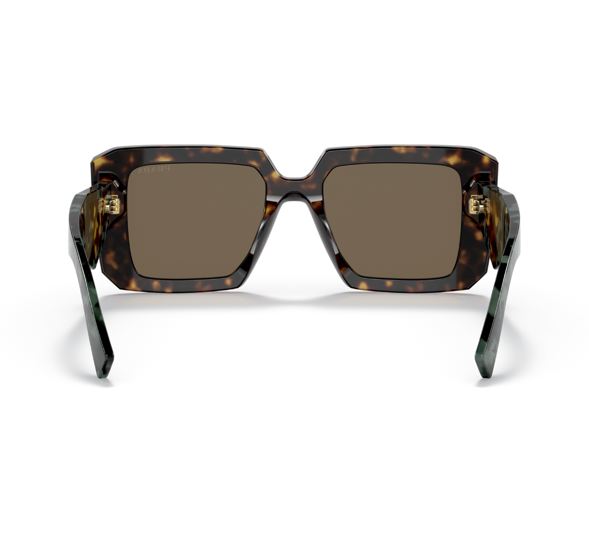 Gafas Acetato Tortoise