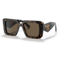 Gafas Acetato Tortoise