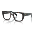 Gafas Acetato Root Tortoise