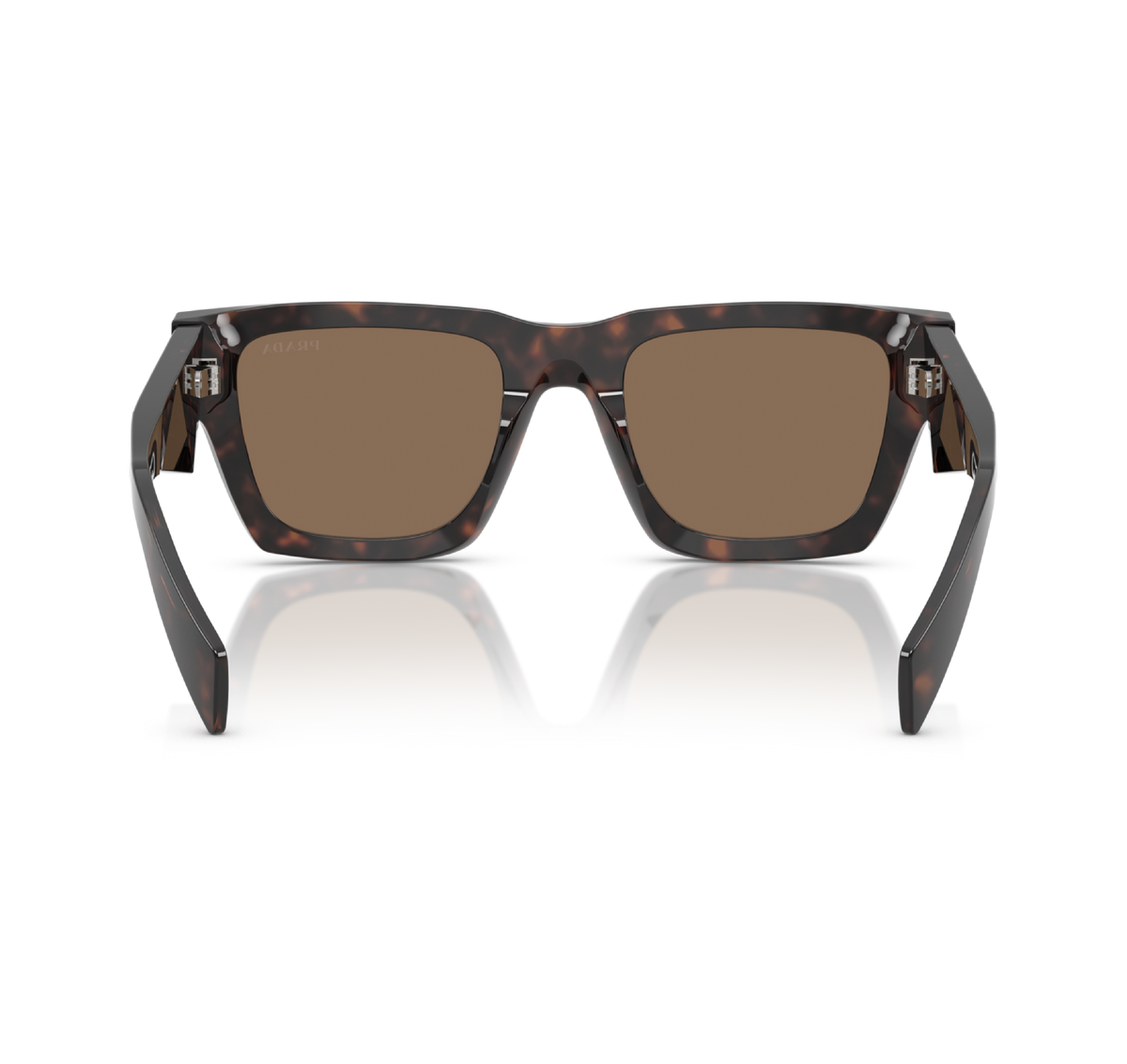 Gafas Acetato Root Tortoise