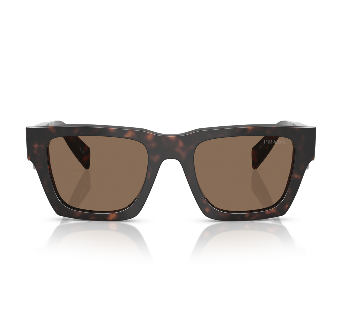 Gafas Acetato Root Tortoise