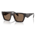 Gafas Acetato Root Tortoise