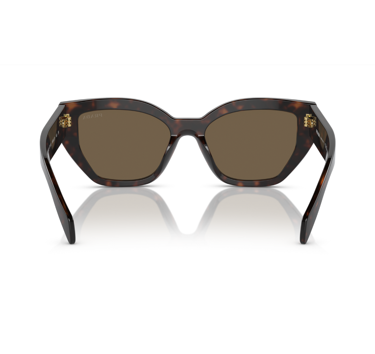 Gafas Acetato Briar Tortoise