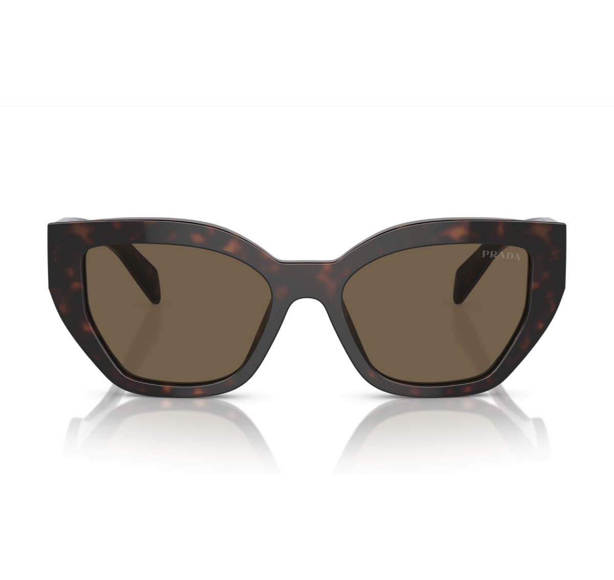 Gafas Acetato Briar Tortoise