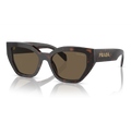 Gafas Acetato Briar Tortoise