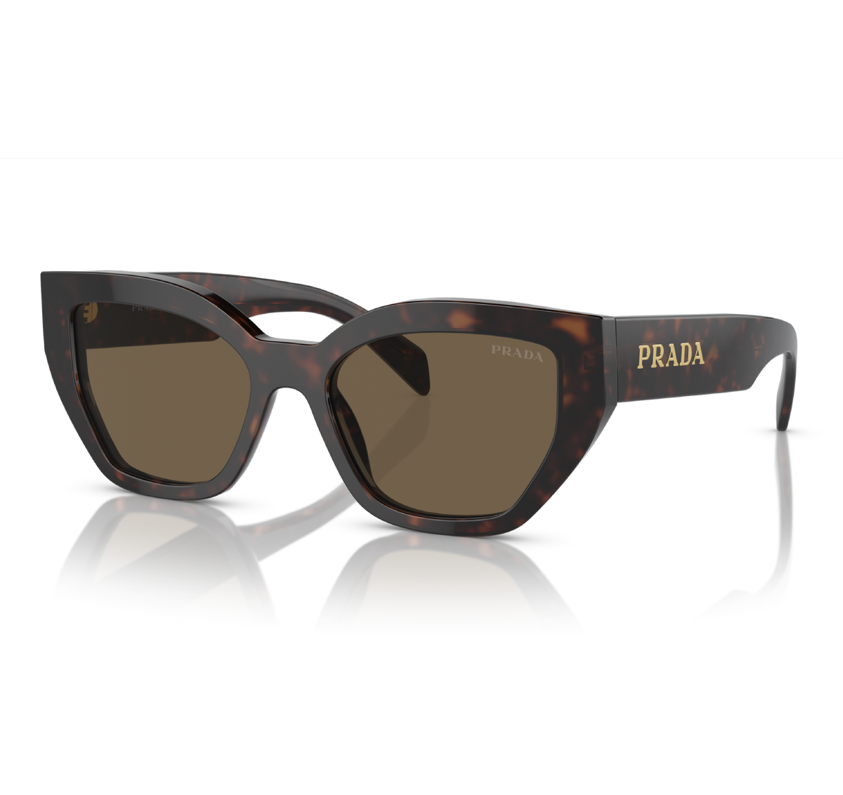 Gafas Acetato Briar Tortoise
