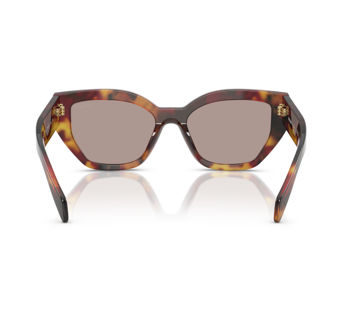 Gafas Acetato Poppy Tortoise