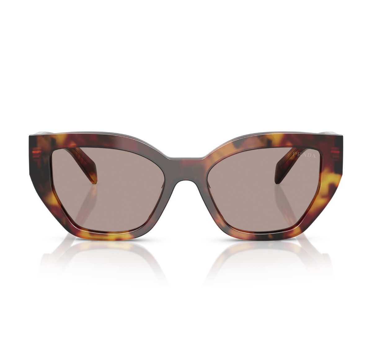 Gafas Acetato Poppy Tortoise