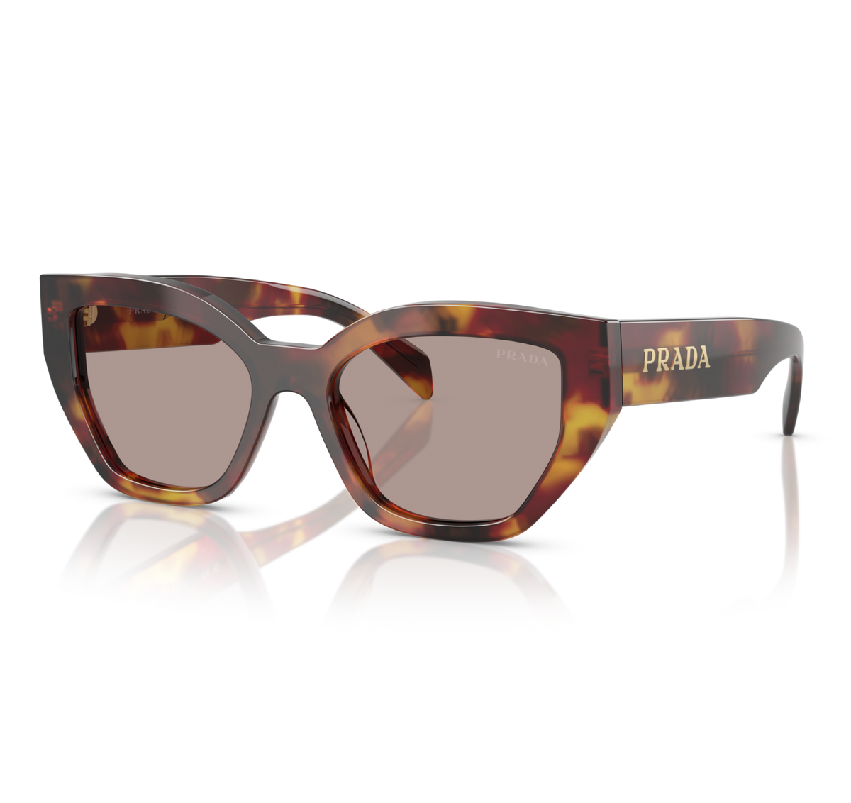 Gafas Acetato Poppy Tortoise