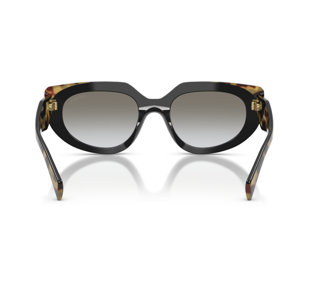 Gafas Acetato Black/Medium Tortoise