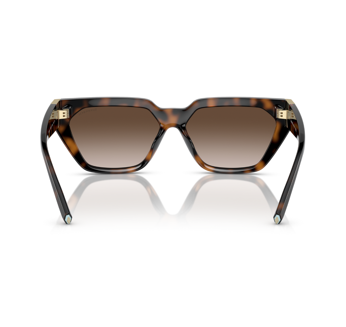 Gafas Inyectado Havana