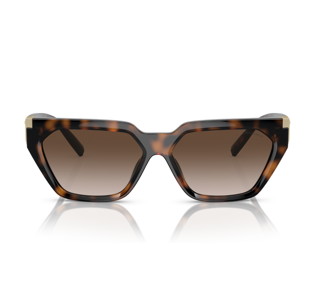 Gafas Inyectado Havana