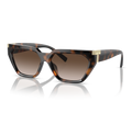 Gafas Inyectado Havana