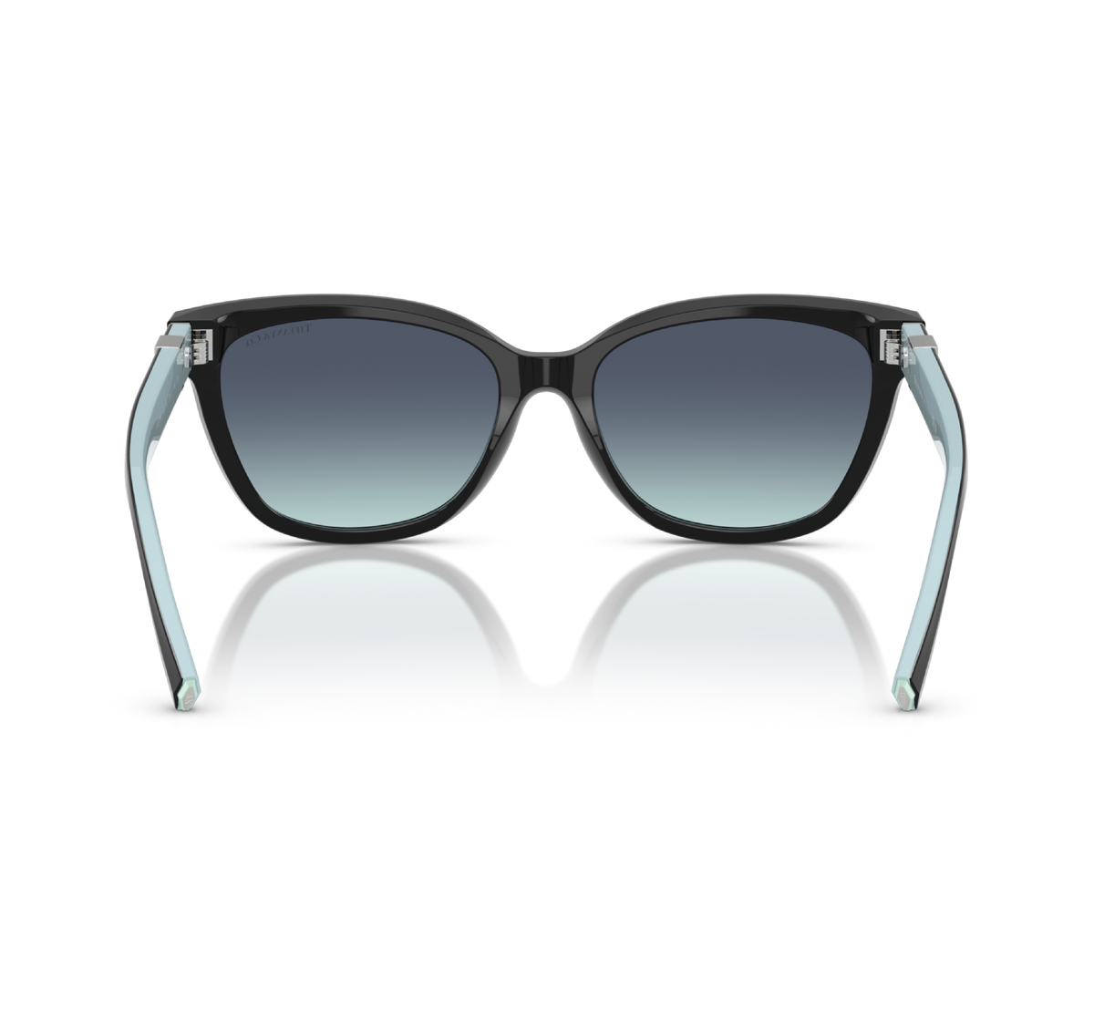 Gafas Acetato Black