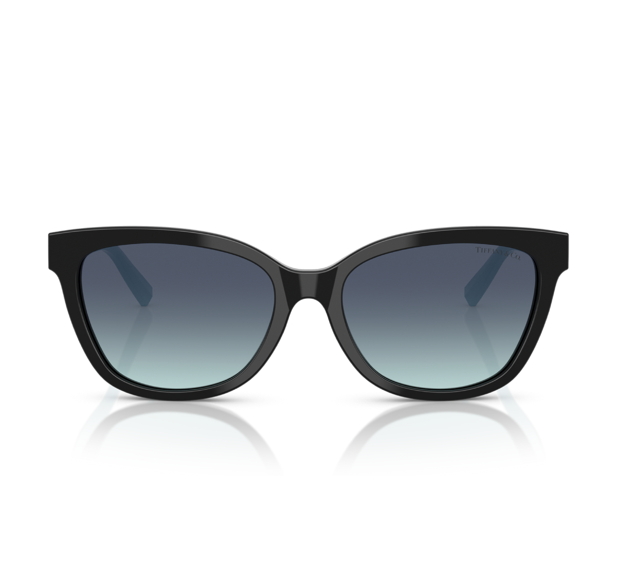 Gafas Acetato Black
